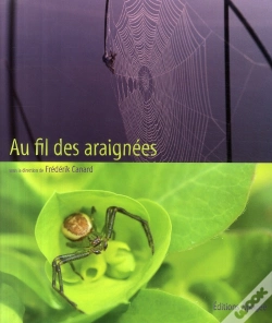Capa do artigo Au Fil Des Araignées