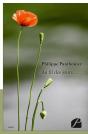 Au Fil Des Jours... - Preview