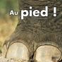 Au Pied ! - Preview