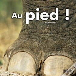 Capa do artigo Au Pied !