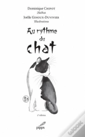 Au Rythme Du Chat