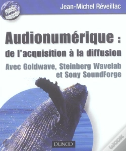 Capa do artigo Audionumerique : De L'Acquisition A La Diffusion Avec Goldware, Steinberg, Wavelab Et Sony Soundfo