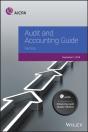 Audit And Accounting Guide - Preview
