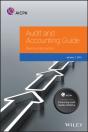 Audit And Accounting Guide - Preview