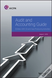 Capa do artigo Audit And Accounting Guide