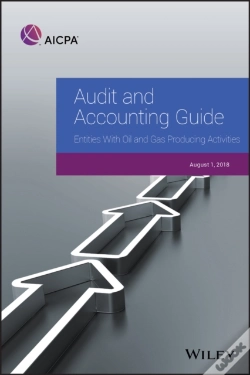 Capa do artigo Audit And Accounting Guide