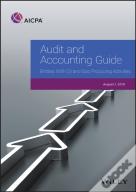 Audit And Accounting Guide