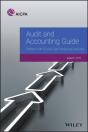 Audit And Accounting Guide - Preview