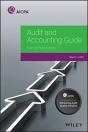 Audit And Accounting Guide - Preview
