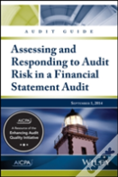 Audit Guide
