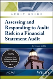 Capa do artigo Audit Guide