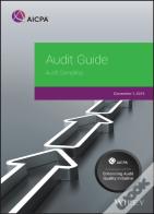 Audit Guide
