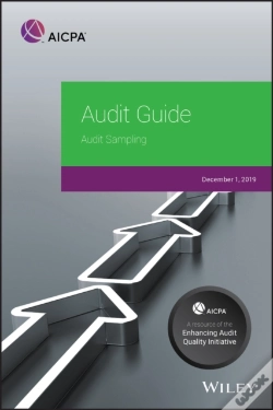 Capa do artigo Audit Guide