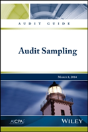 Audit Guide: Audit Sampling - Preview