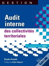 Audit Interne  Des Collectivités Territoriales