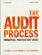 Audit Process 7th Edition - Preview