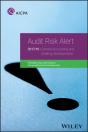 Audit Risk Alert - Preview