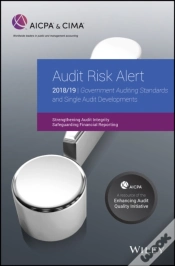 Capa do artigo Audit Risk Alert