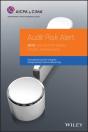 Audit Risk Alert - Preview