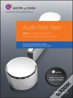 Audit Risk Alert