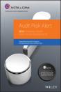 Audit Risk Alert - Preview