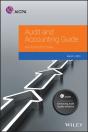Auditing And Accounting Guide - Preview