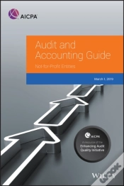 Capa do artigo Auditing And Accounting Guide