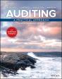 Auditing - Preview