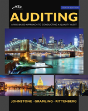 Auditing - Preview