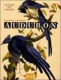 Audubon ; Le Livre Des Oiseaux - Preview