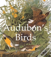 Audubon'S Birds