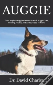 Capa do artigo Auggie