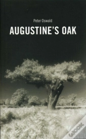 Augustine'S Oak