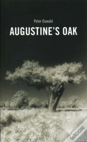 Capa do artigo Augustine