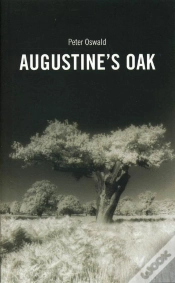 Capa do artigo Augustine