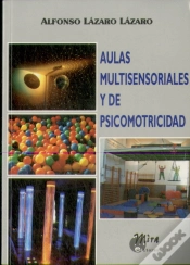 Capa do artigo Aulas Multisensoriales Y De Psicomotricidad