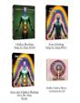 Aura & Chakra Healer Certification Program - Preview