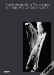 Capa do artigo Aurelio Amendola For Michelangelo