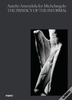 Capa do artigo Aurelio Amendola For Michelangelo