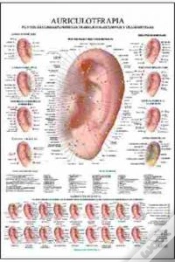 Capa do artigo Auriculoterapia Poster