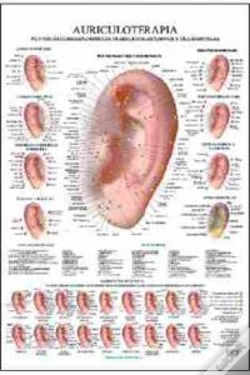 Capa do artigo Auriculoterapia Poster