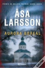 Capa do artigo Aurora Boreal