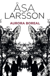 Capa do artigo Aurora Boreal