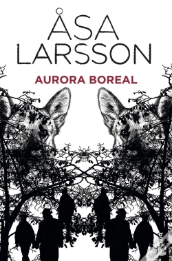 Capa do artigo Aurora Boreal