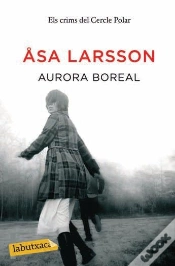 Capa do artigo Aurora Boreal