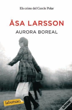 Capa do artigo Aurora Boreal
