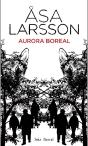 Aurora Boreal - Preview