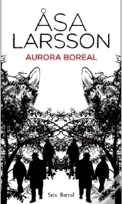 Capa do artigo Aurora Boreal