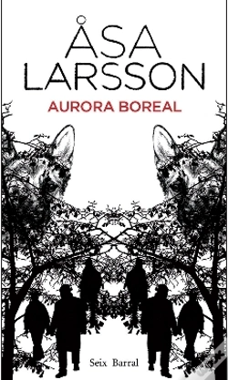 Capa do artigo Aurora Boreal