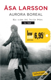 Capa do artigo Aurora Boreal